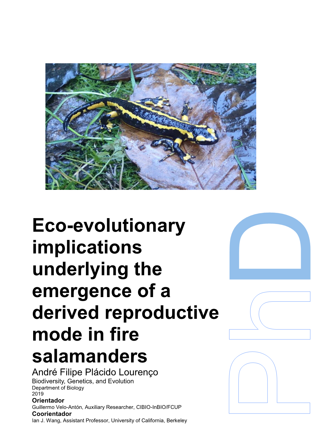 Eco-Evolutionary Implications Underlying the Emergence of a Derived Reproductive Mode in Fire Salamanders