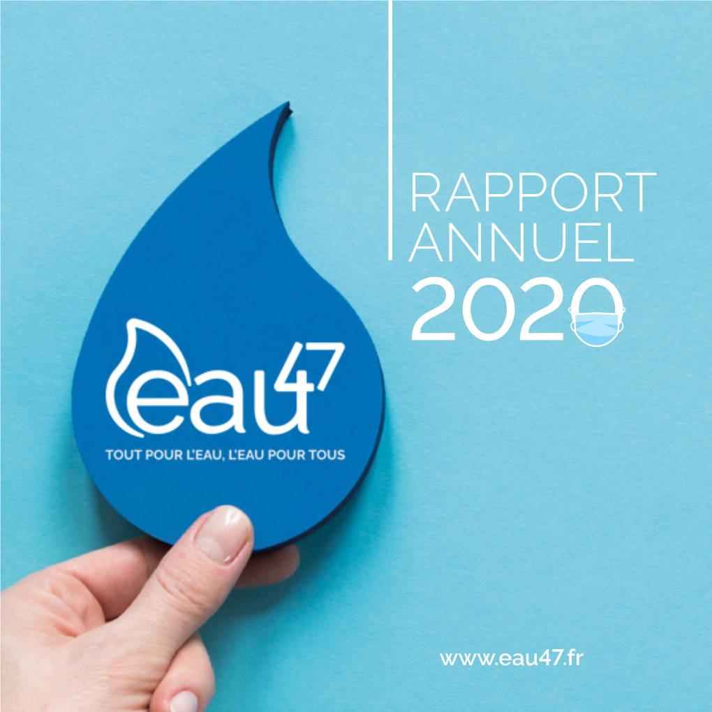 Rapport Annuel 2020