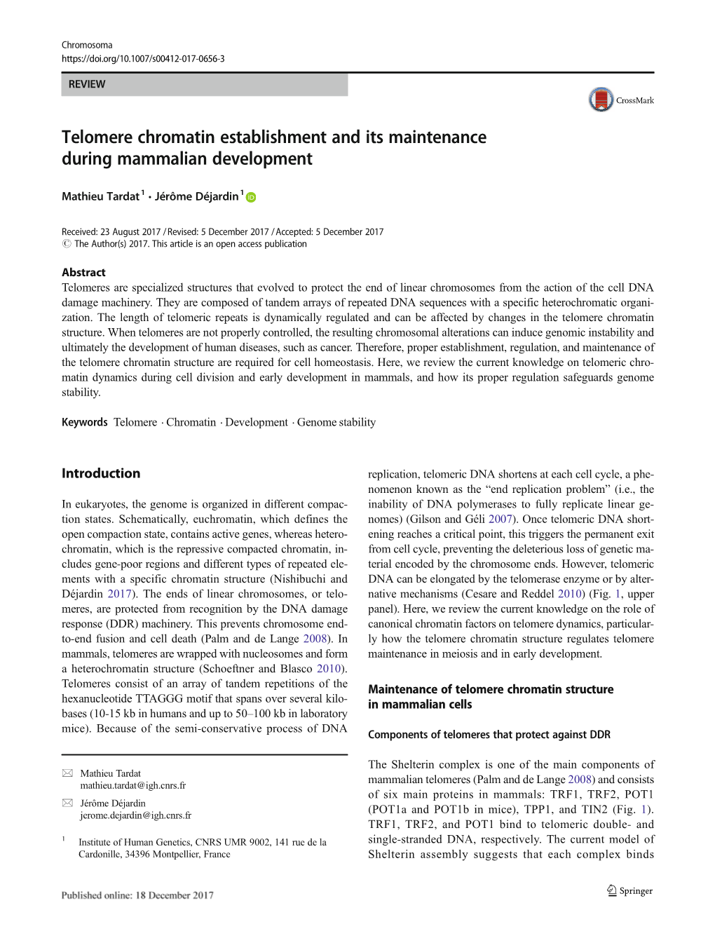 Telomere Chromatin Establishment and Its Maintenance During Mammalian Development