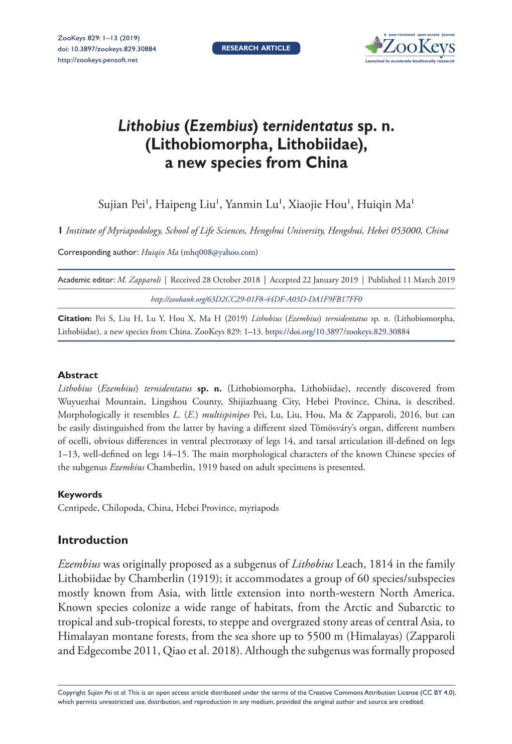 Lithobiomorpha, Lithobiidae), a New Species from China
