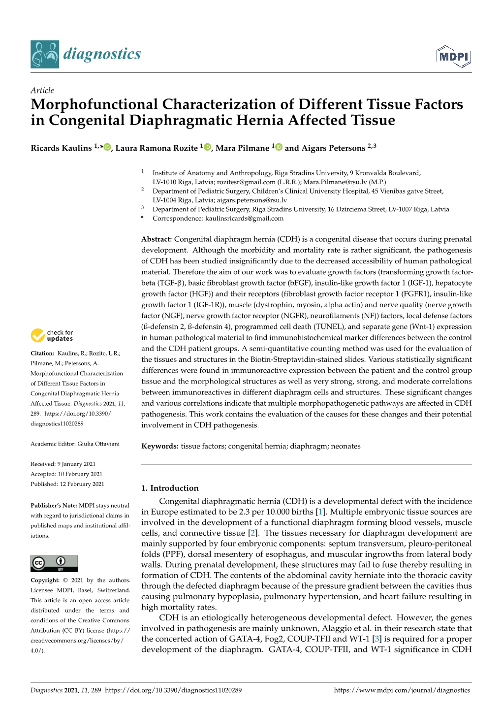 Morphofunctional Characterization of Different Tissue Factors in Congenital Diaphragmatic Hernia Affected Tissue