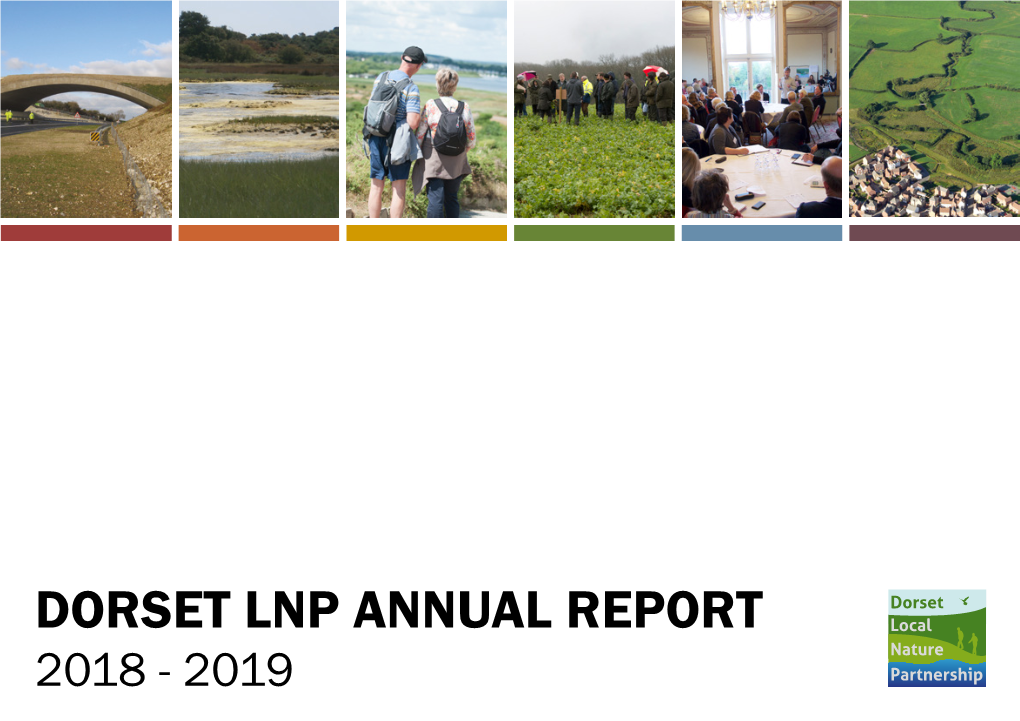 Dorset Lnp Annual Report