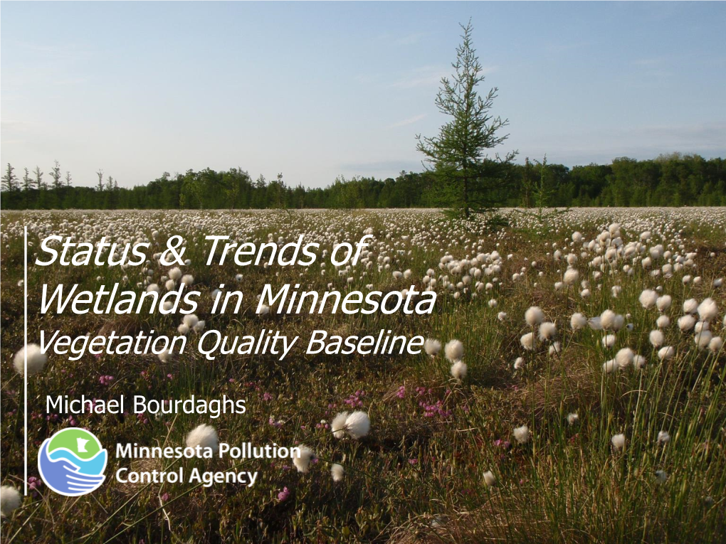 Status & Trends of Wetlands in Minnesota