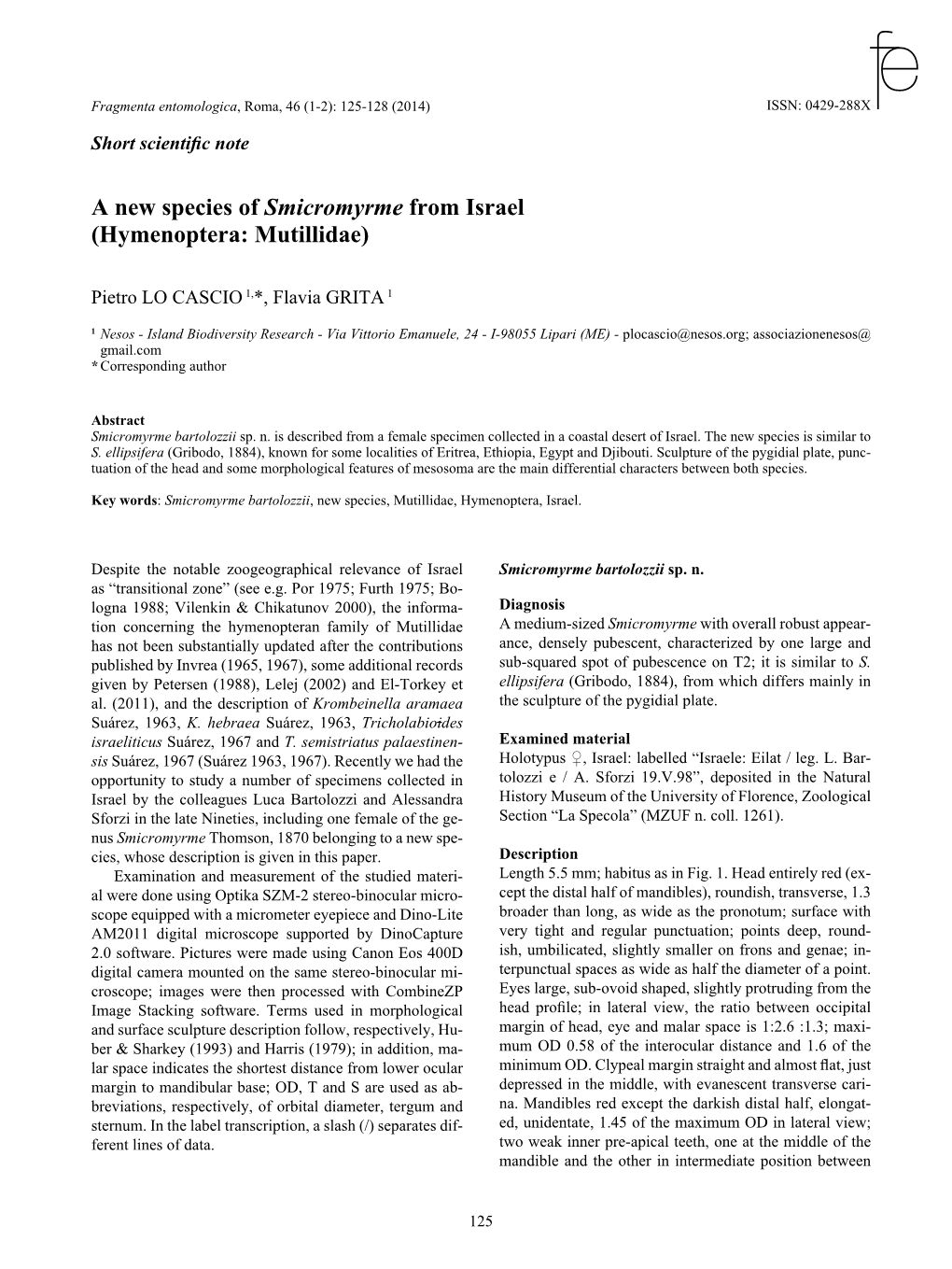 A New Species of Smicromyrme from Israel (Hymenoptera: Mutillidae)