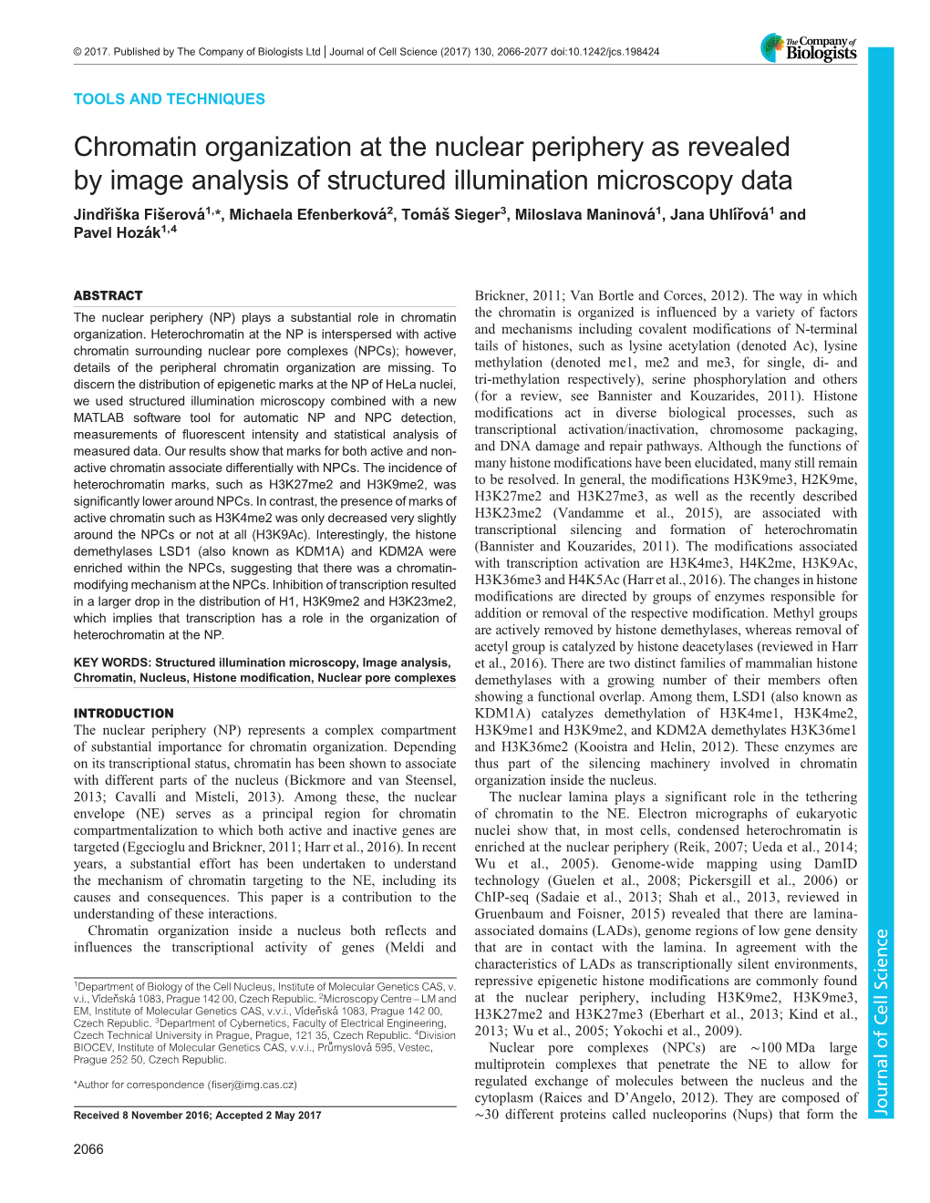 Chromatin Organization at the Nuclear Periphery As Revealed by Image