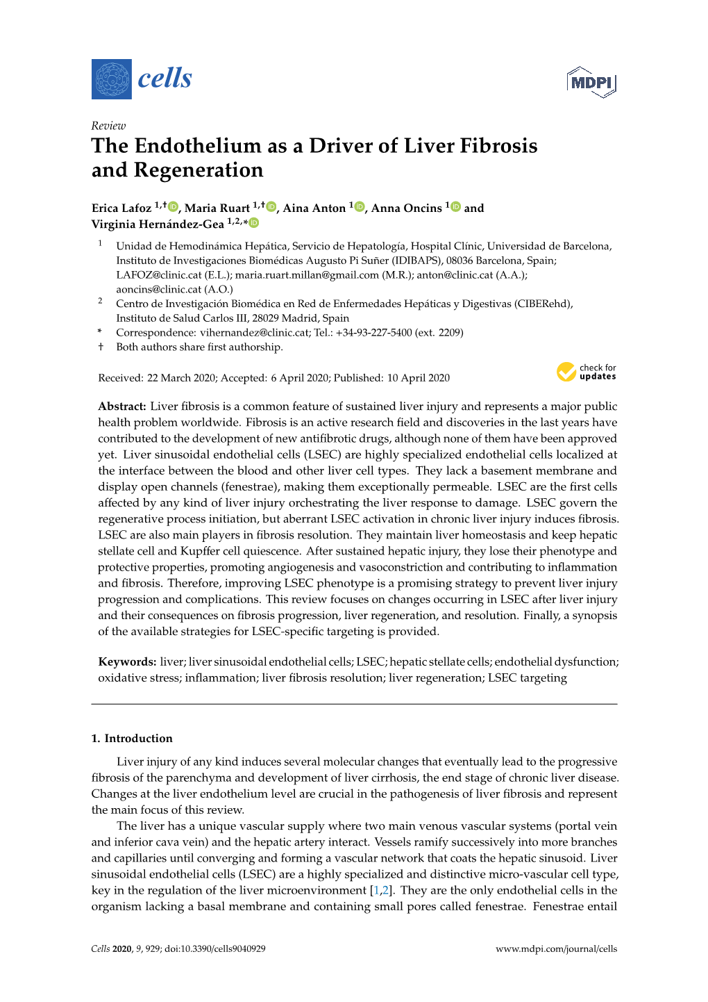 The Endothelium As a Driver of Liver Fibrosis and Regeneration