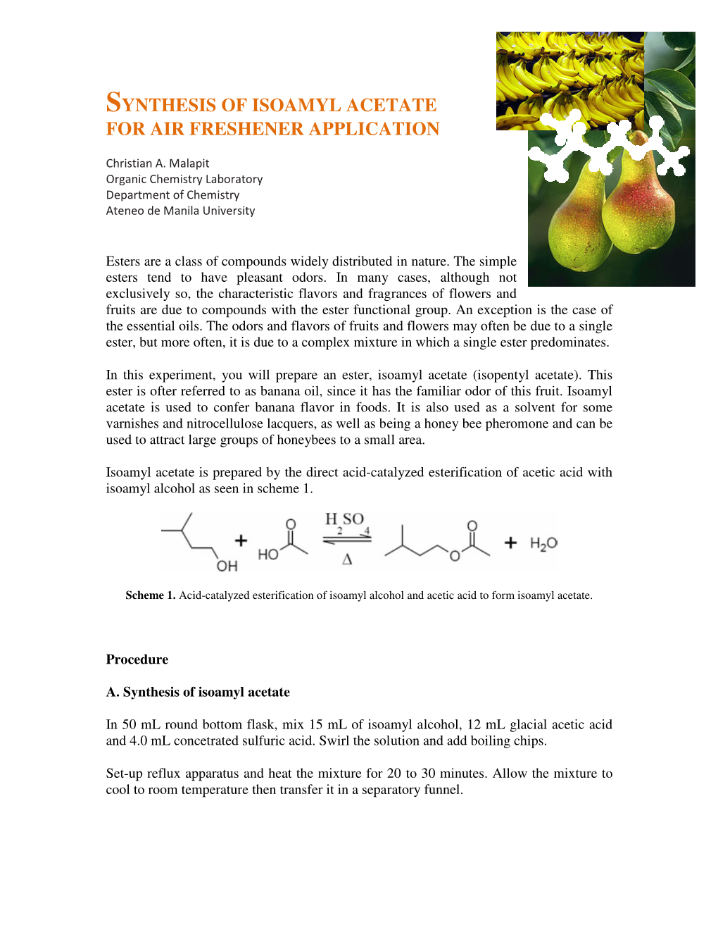 Synthesis of Isoamyl Acetate for Air Freshener Application