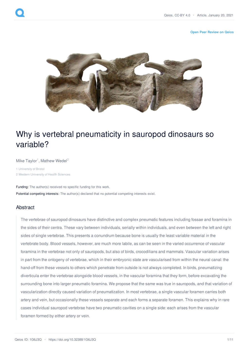 Why Is Vertebral Pneumaticity in Sauropod Dinosaurs So Variable?