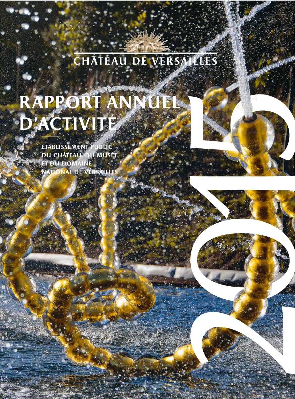 Rapport Annuel D'activité 2015