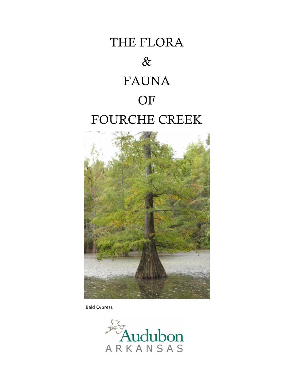 The Flora & Fauna of Fourche Creek