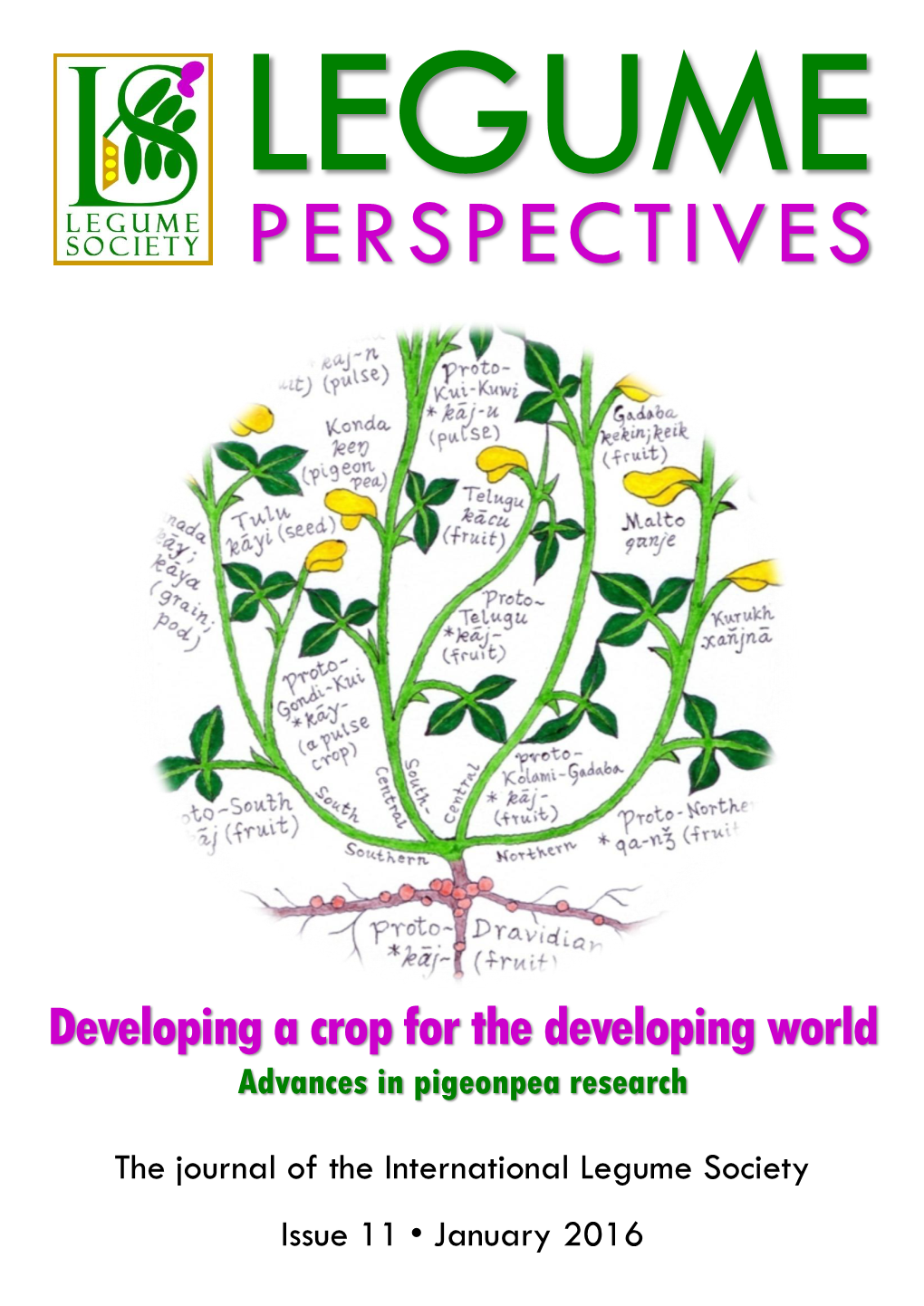 Legume Perspectives Issue 11 Is Available