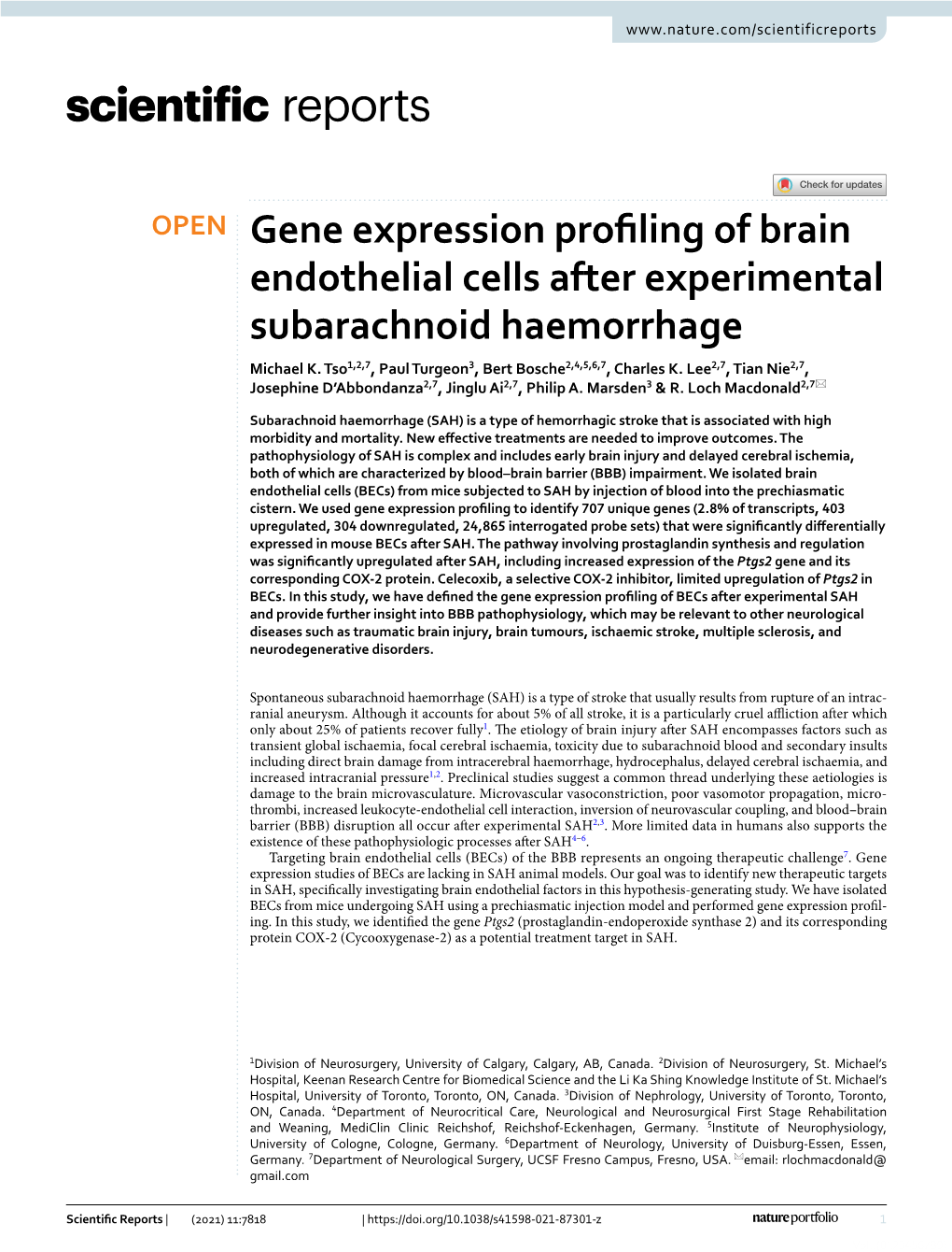 Gene Expression Profiling of Brain Endothelial Cells After Experimental