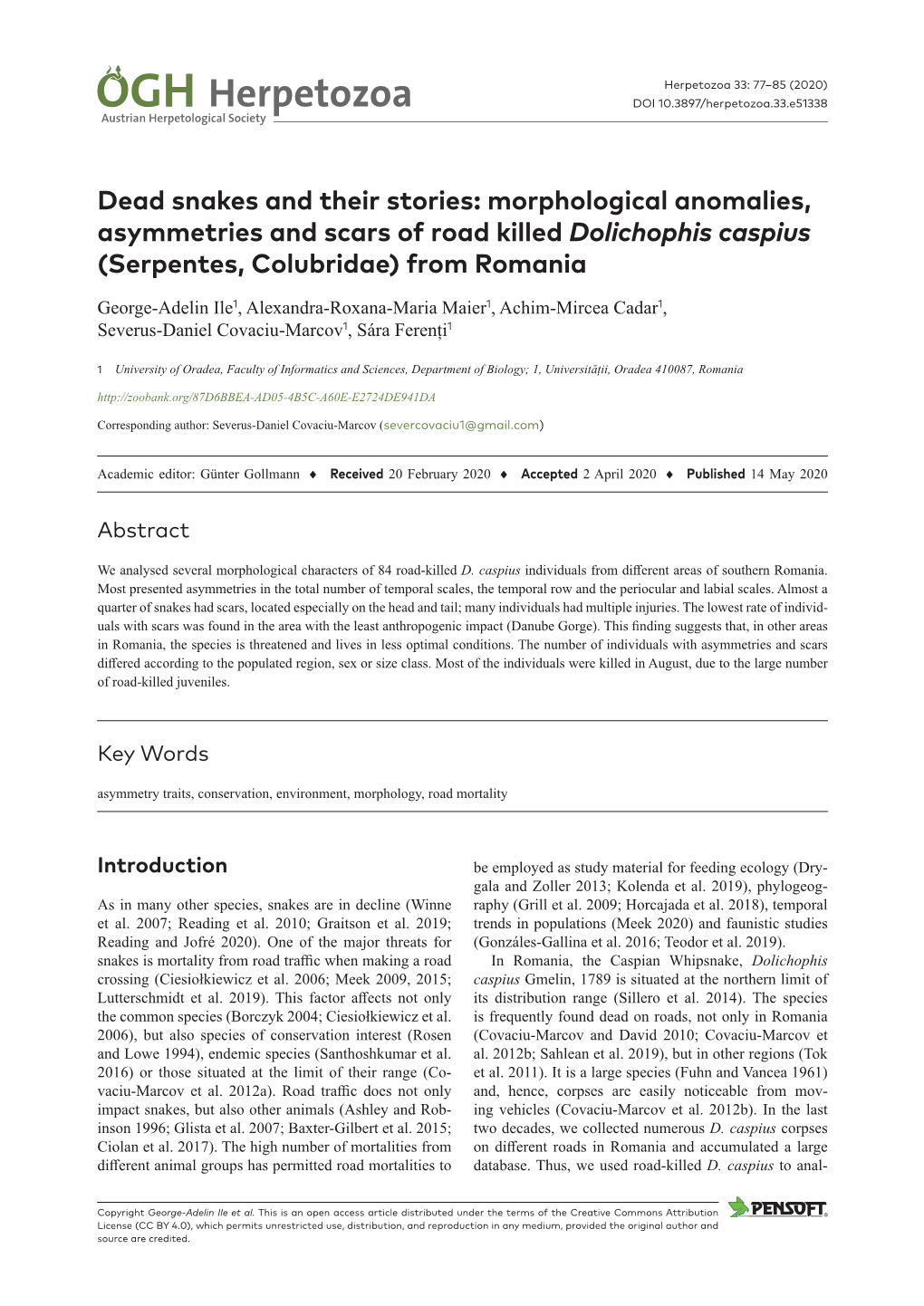 Morphological Anomalies, Asymmetries and Scars of Road Killed Dolichophis Caspius (Serpentes, Colubridae) from Romania