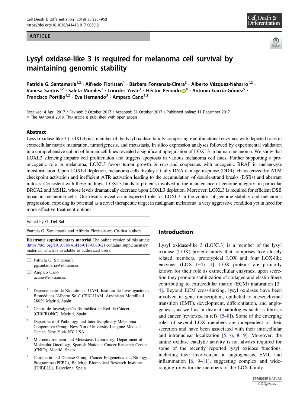 Lysyl Oxidase-Like 3 Is Required for Melanoma Cell Survival by Maintaining Genomic Stability