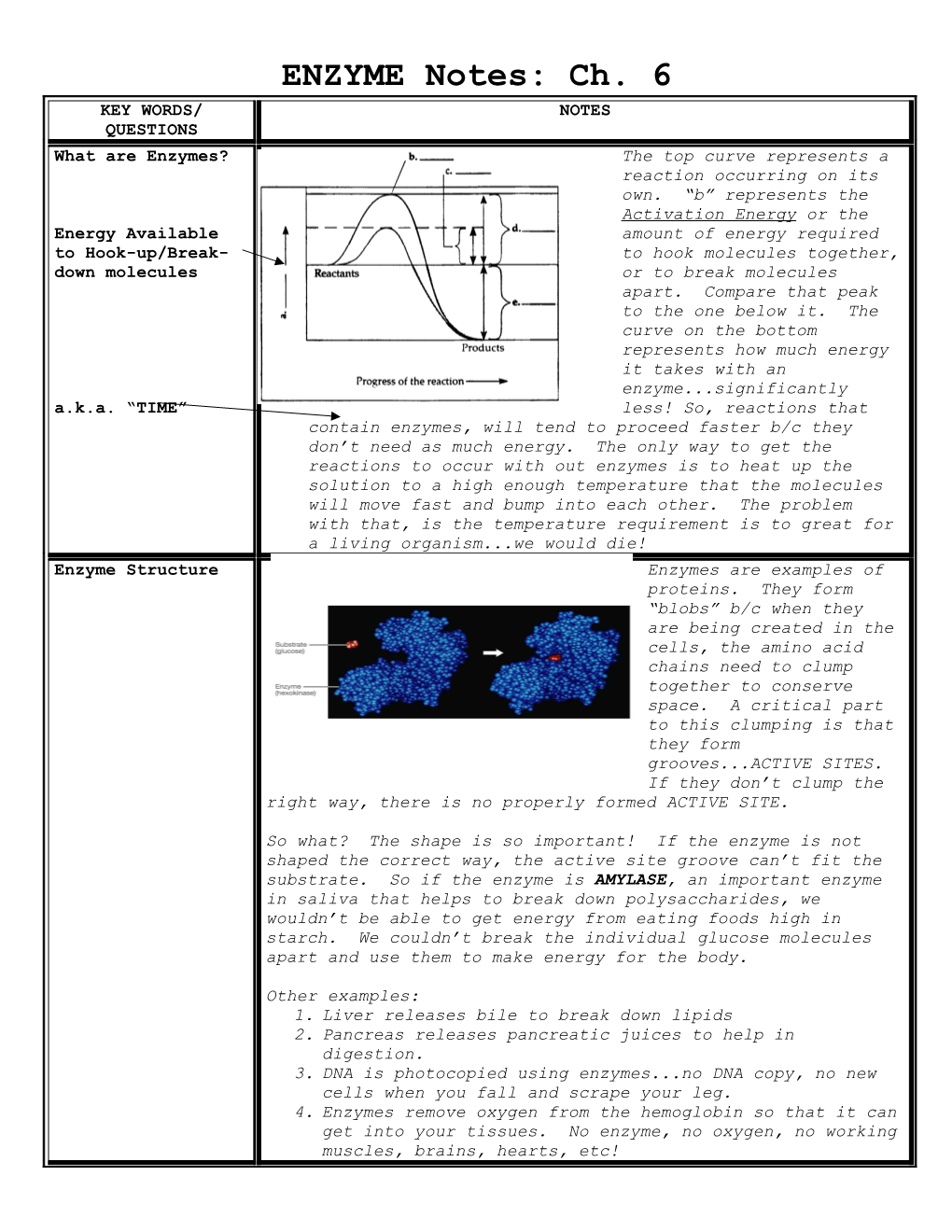 ENZYME Notes: Ch. 6