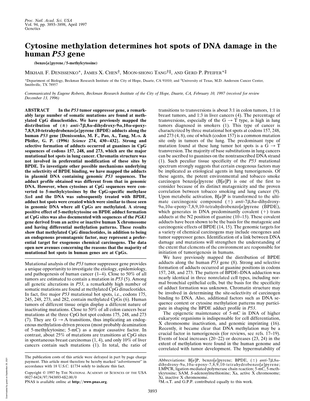 Cytosine Methylation Determines Hot Spots of DNA Damage in the Human P53 Gene (Benzo[A]Pyrene͞5-Methylcytosine)