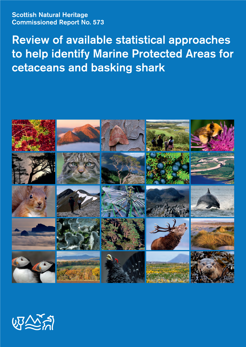 Review of Available Statistical Approaches to Help Identify Marine Protected Areas for Cetaceans and Basking Shark