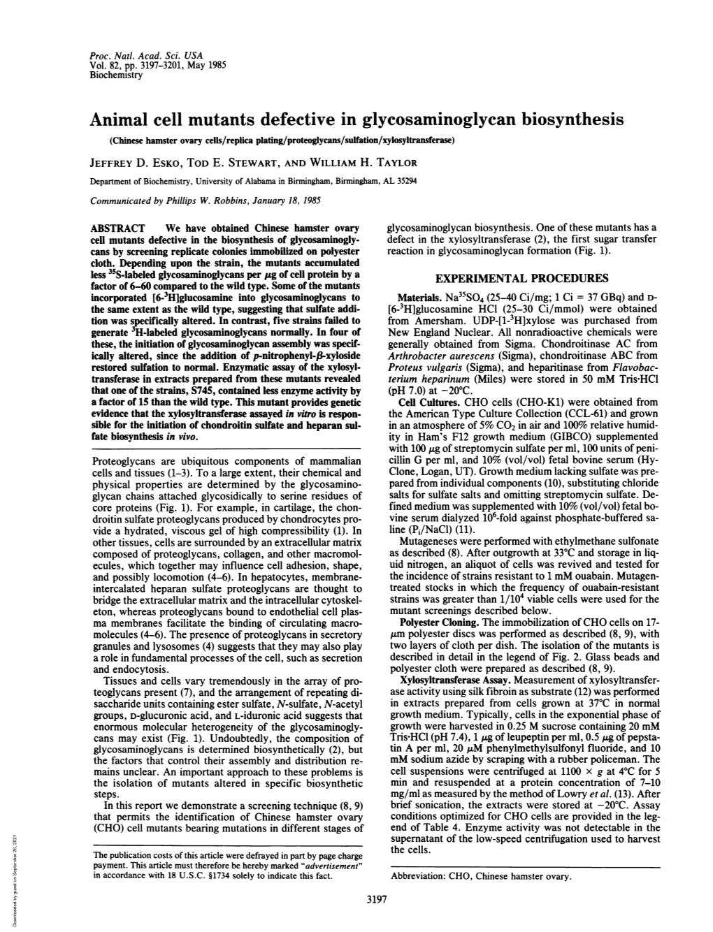 Animal Cell Mutants Defective in Glycosaminoglycan Biosynthesis (Chinese Hamster Ovary Cells/Replica Plating/Proteoglycans/Sulfation/Xylosyltransferase) JEFFREY D