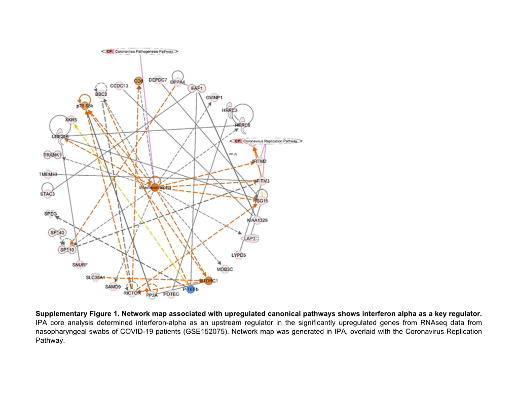 Supplementary Figure 1. Network Map Associated with Upregulated Canonical Pathways Shows Interferon Alpha As a Key Regulator