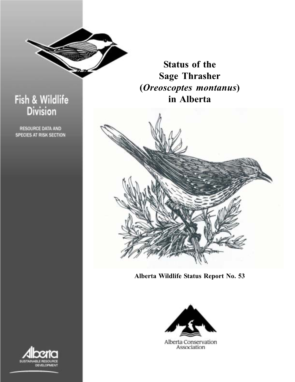 Status of the Sage Thrasher (Oreoscoptes Montanus) in Alberta