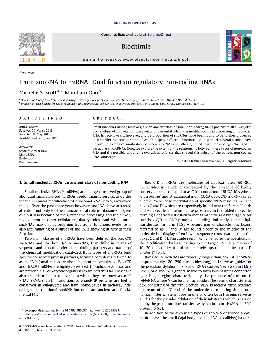 Dual Function Regulatory Non-Coding Rnas