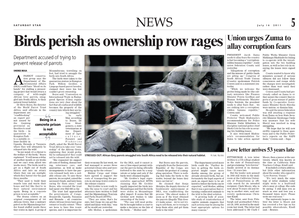 Birds Perish As Ownership Row Rages Allay Corruption Fears