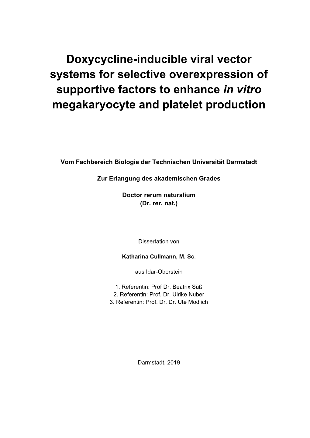 Dissertation Katharina Cullmann V02.Pdf