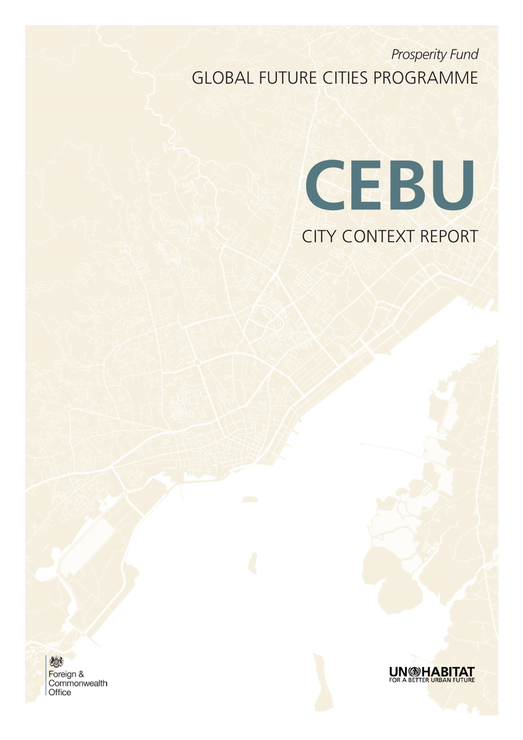 Cebu City Context Report