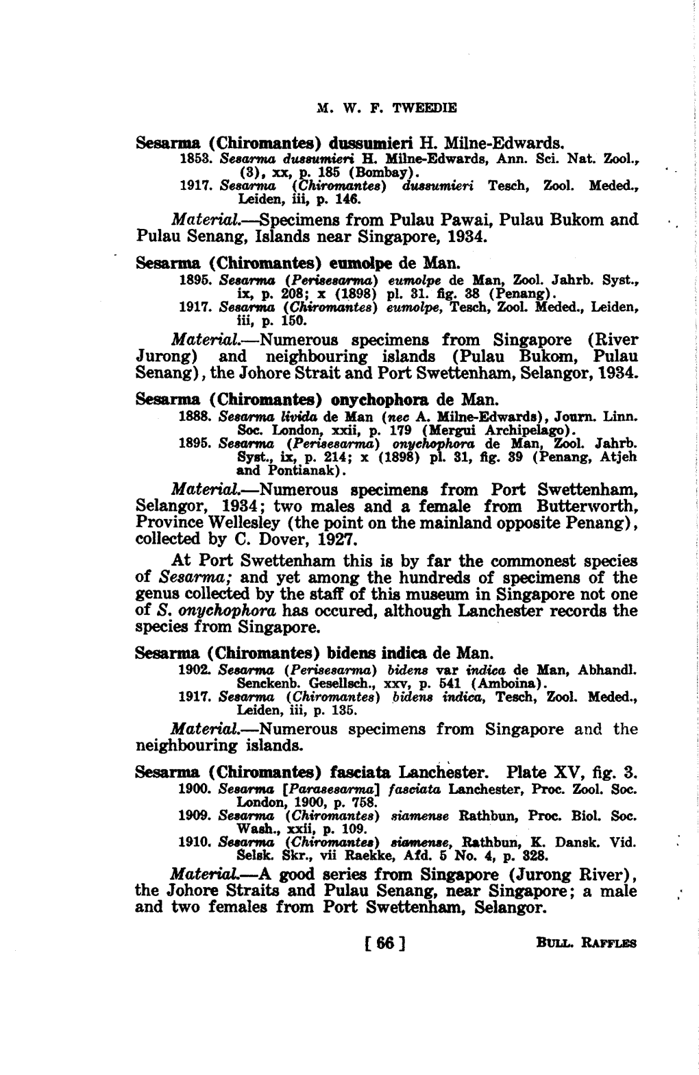 Sesarma (Chiromantes) Dussumieri H. Milne-Edwards. Material.—Specimens from Pulau Pawai, Pulau Bukom and Pulau Senang, Islands
