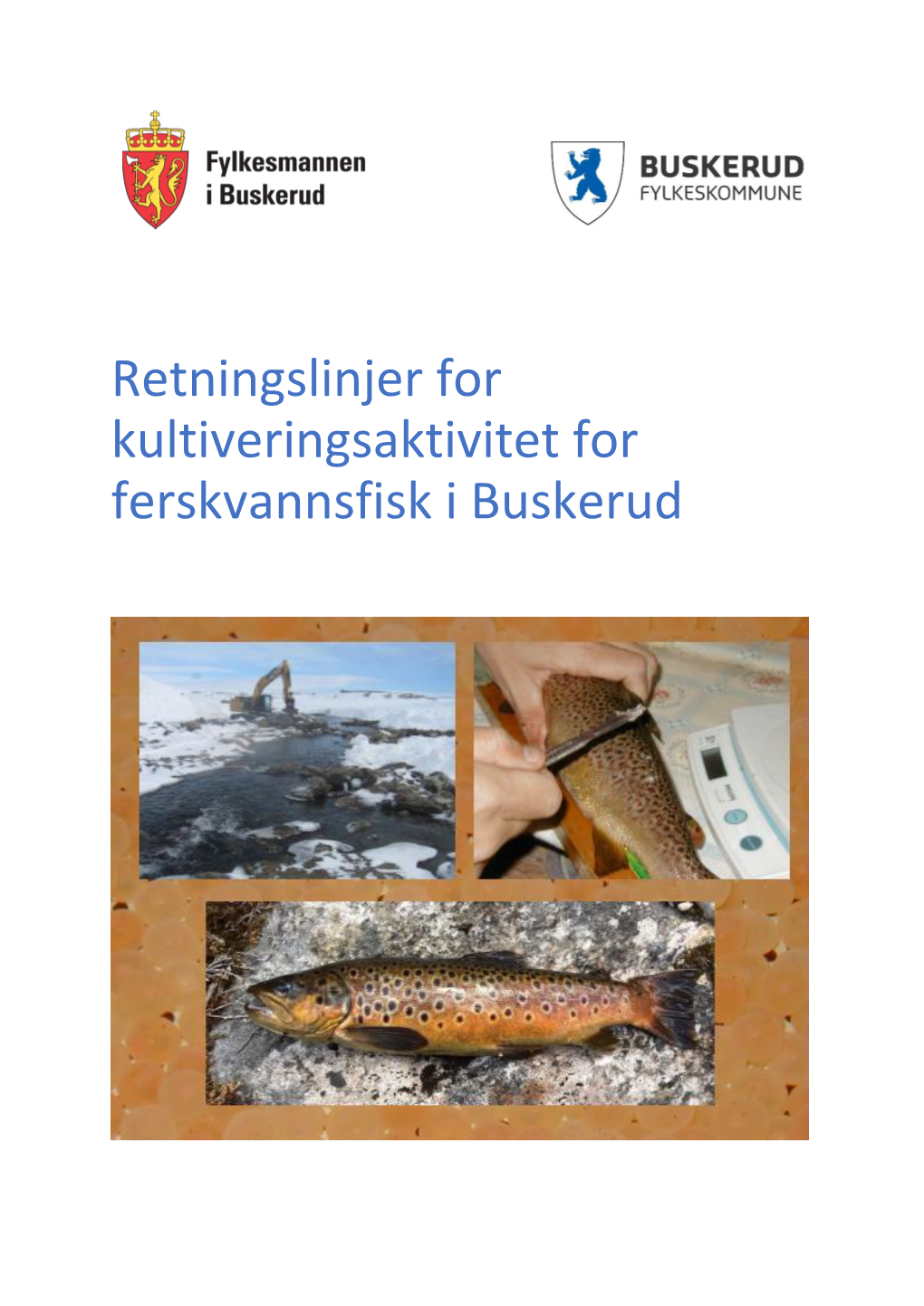 Retningslinjer for Kultiveringsaktivitet for Ferskvannsfisk I Buskerud