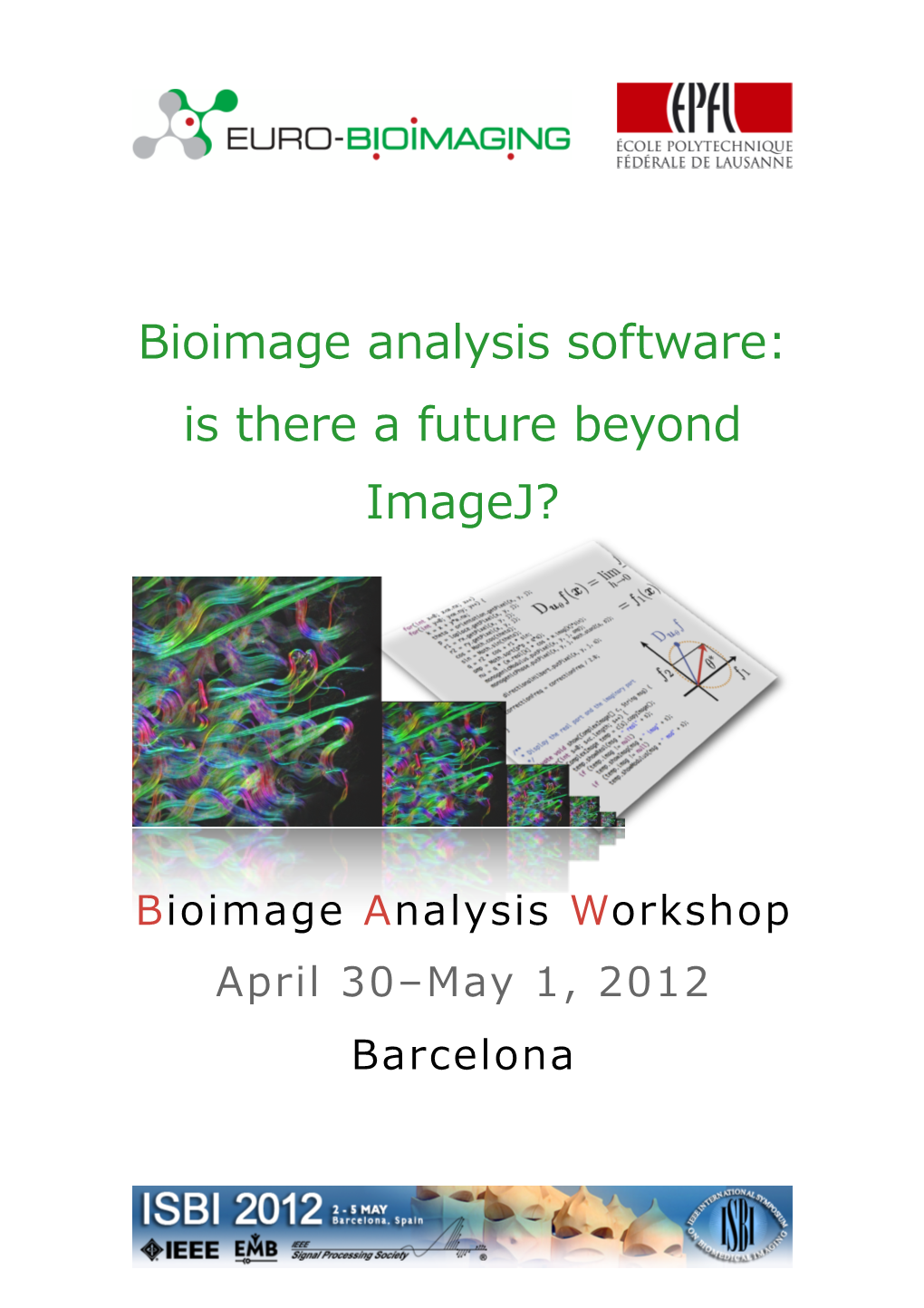Bioimage Analysis Software: Is There a Future Beyond Imagej?