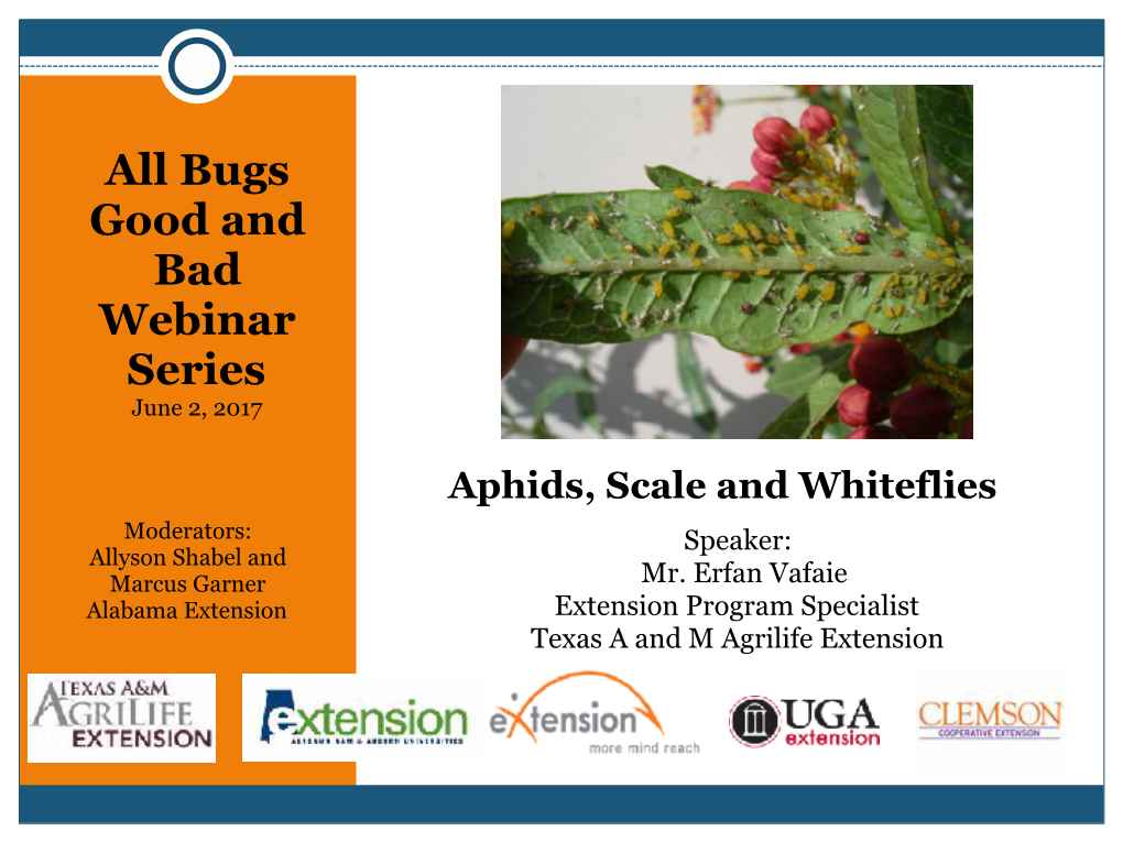 All Bugs Good and Bad Webinar Series June 2, 2017