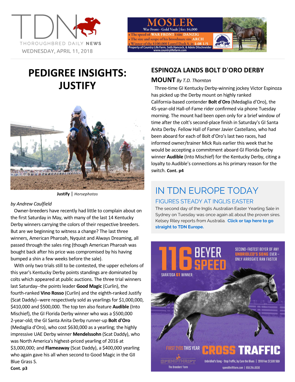 PEDIGREE INSIGHTS: ESPINOZA LANDS BOLT D=ORO DERBY MOUNT by T.D