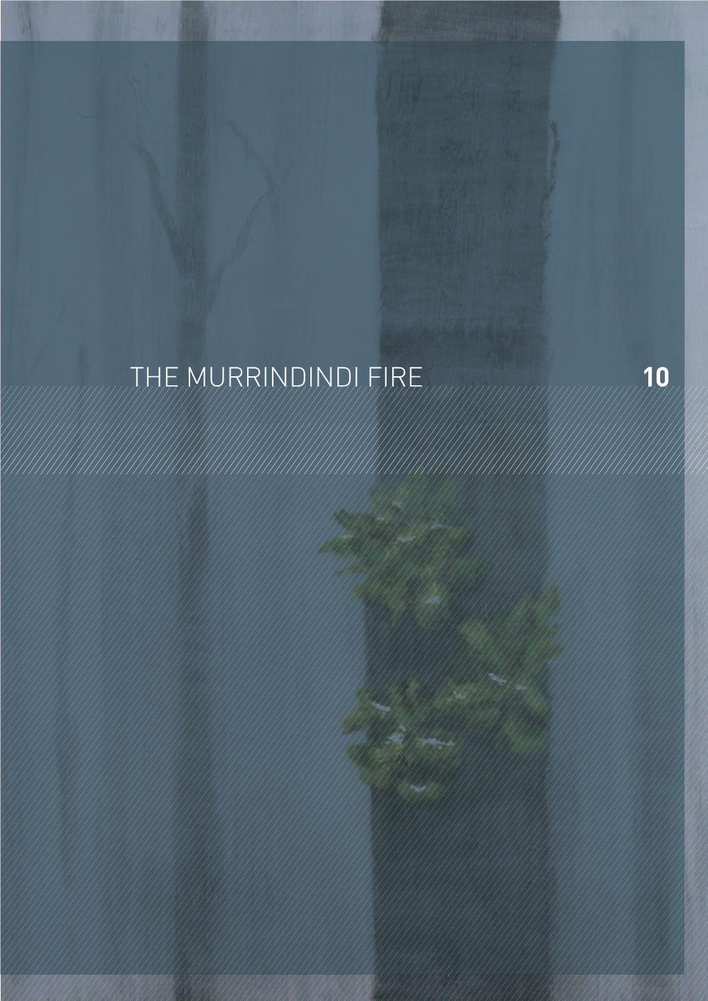 10 the Murrindindi FIRE