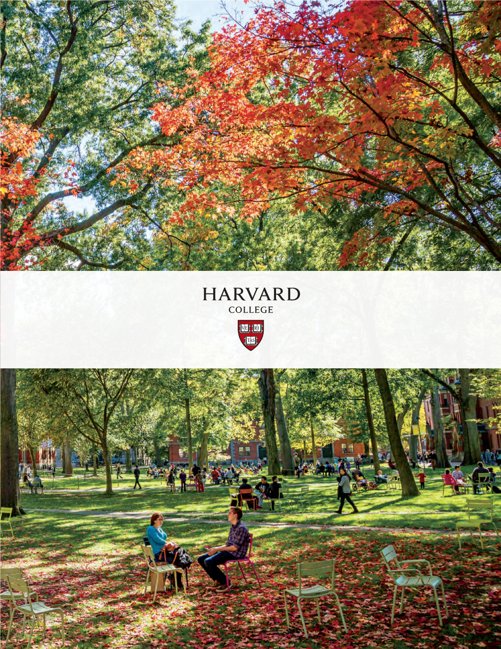 Harvard Colleges Admission Brochure 2015-2016.Pdf