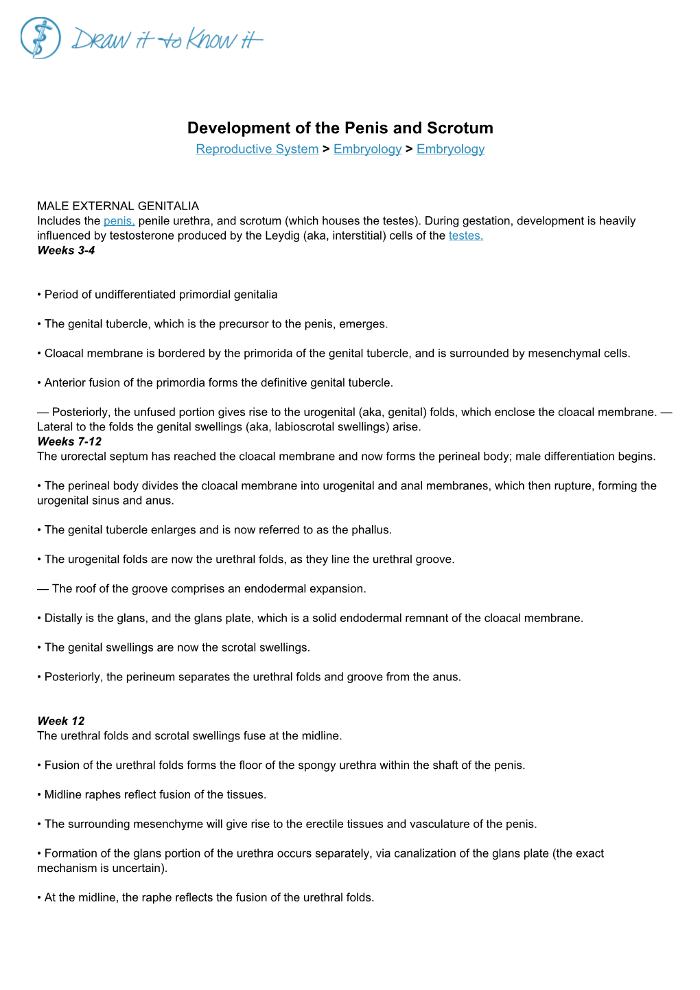 Development of the Penis and Scrotum Reproductive System > Embryology > Embryology
