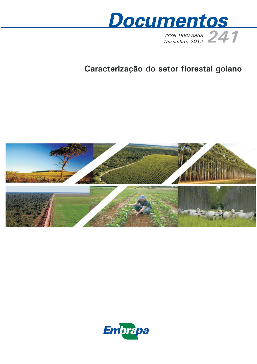 Caracterização Do Setor Florestal Goiano ISSN 1980-3958 Dezembro, 2012