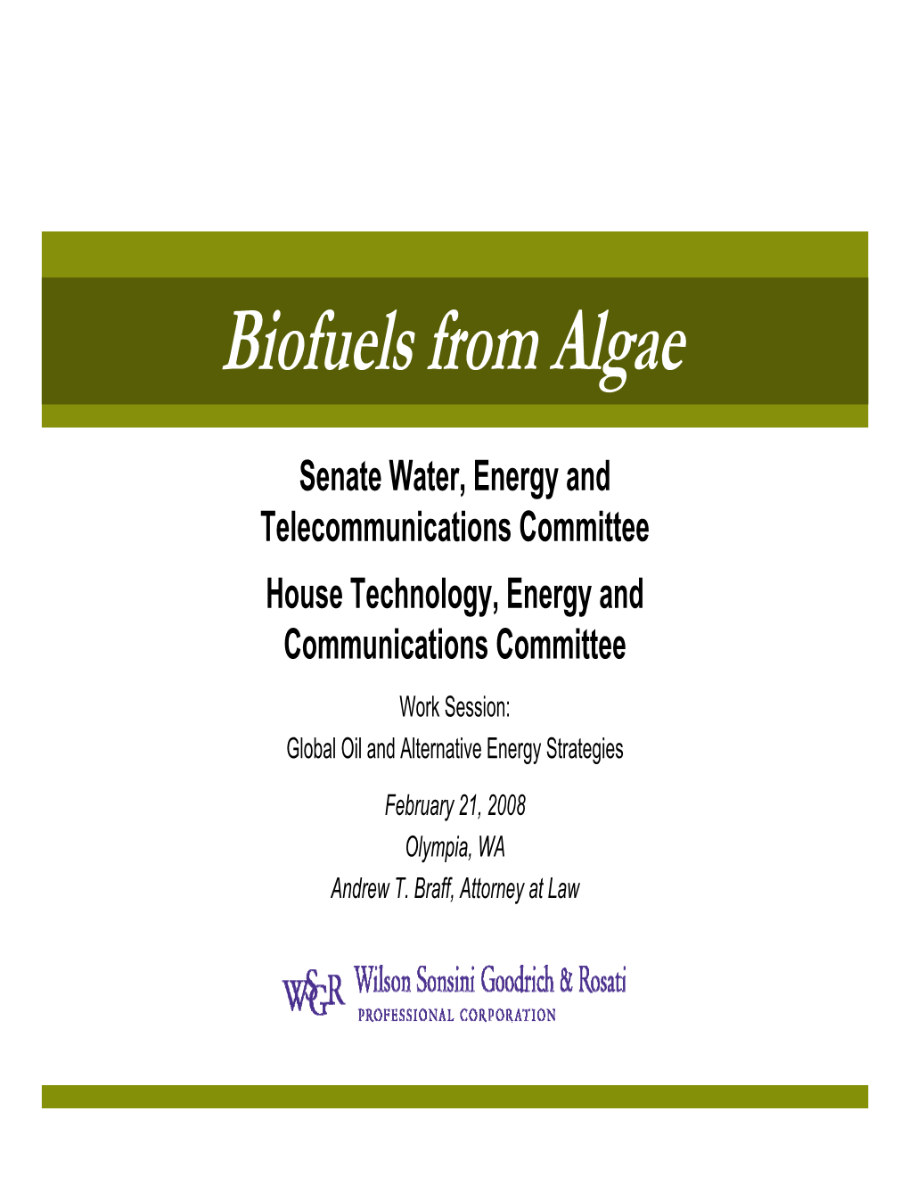 Biofuels from Algae Overview Problems? a Brief History Feedstock 1
