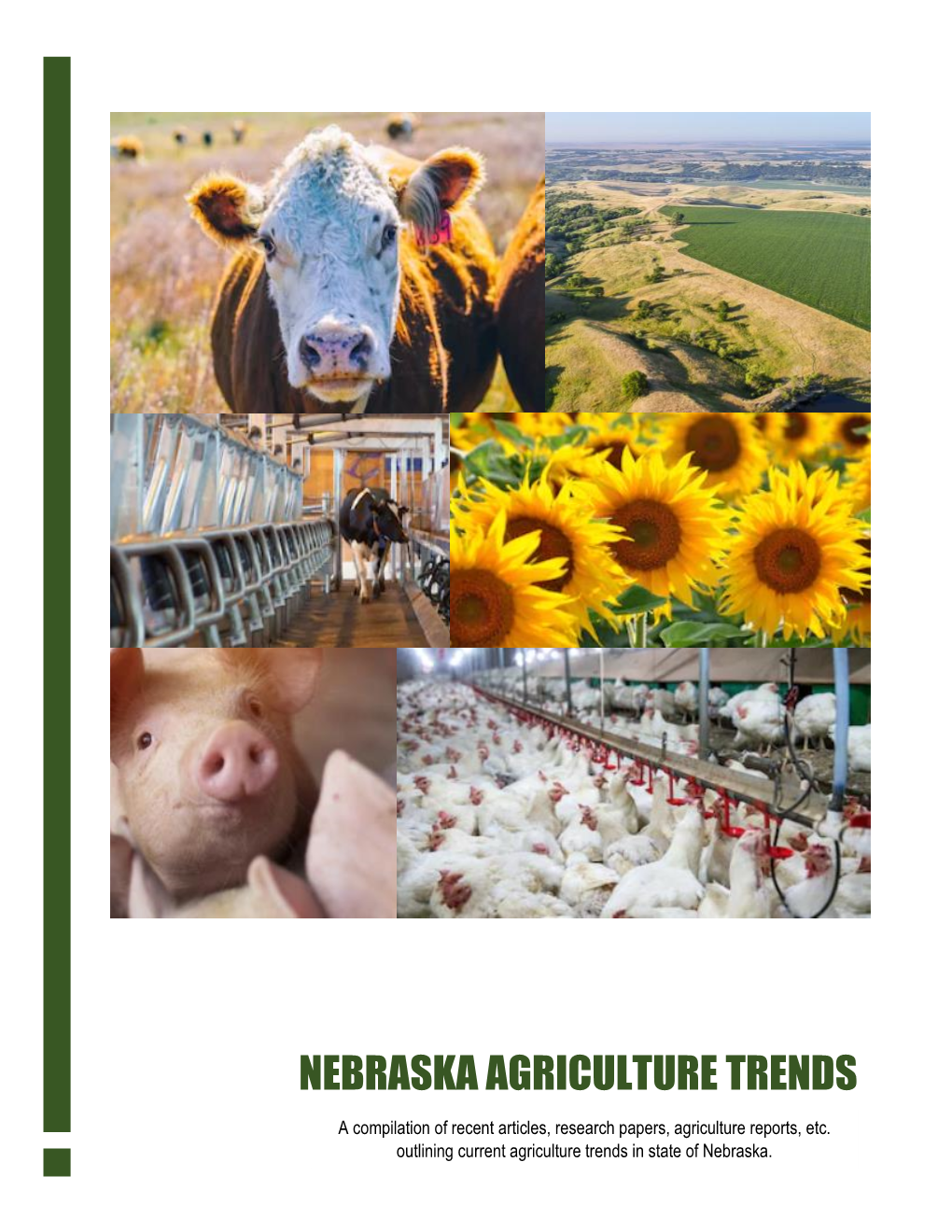 Agricultural Trends in Nebraska