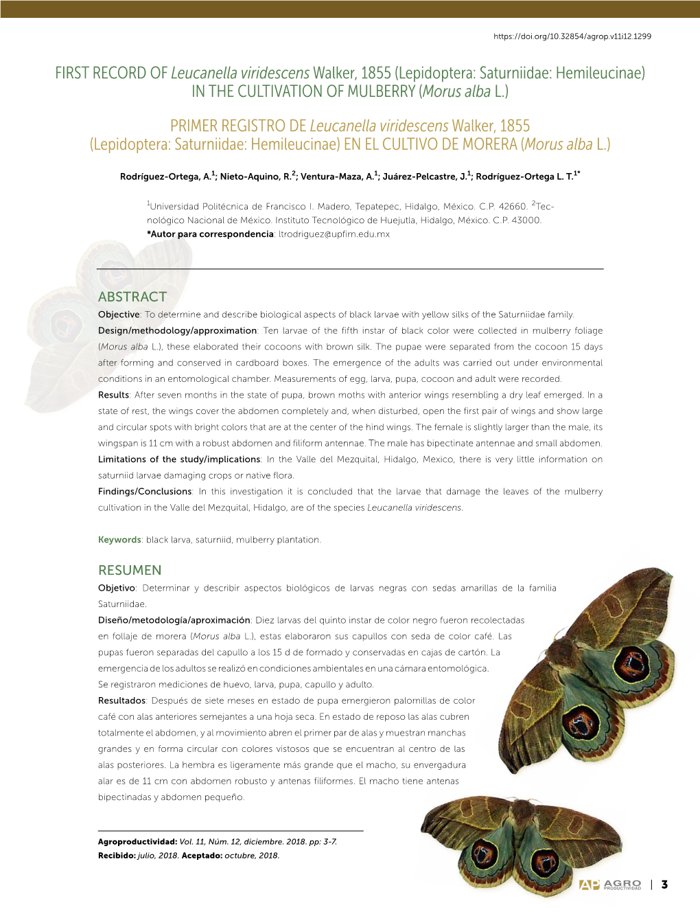 FIRST RECORD of Leucanella Viridescenswalker, 1855 (Lepidoptera: Saturniidae: Hemileucinae) in the CULTIVATION of MULBERRY (Moru