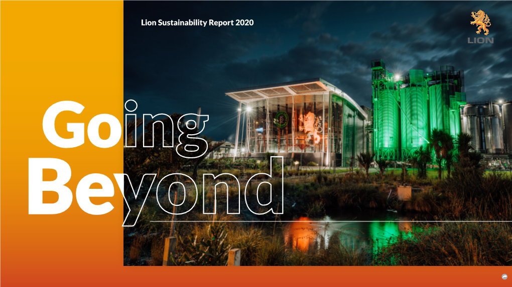 Lion Sustainability Report 2020 Contents