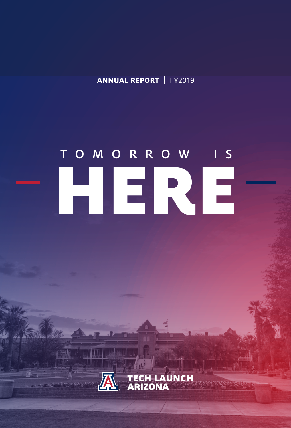 FY2019 Annual Report Download