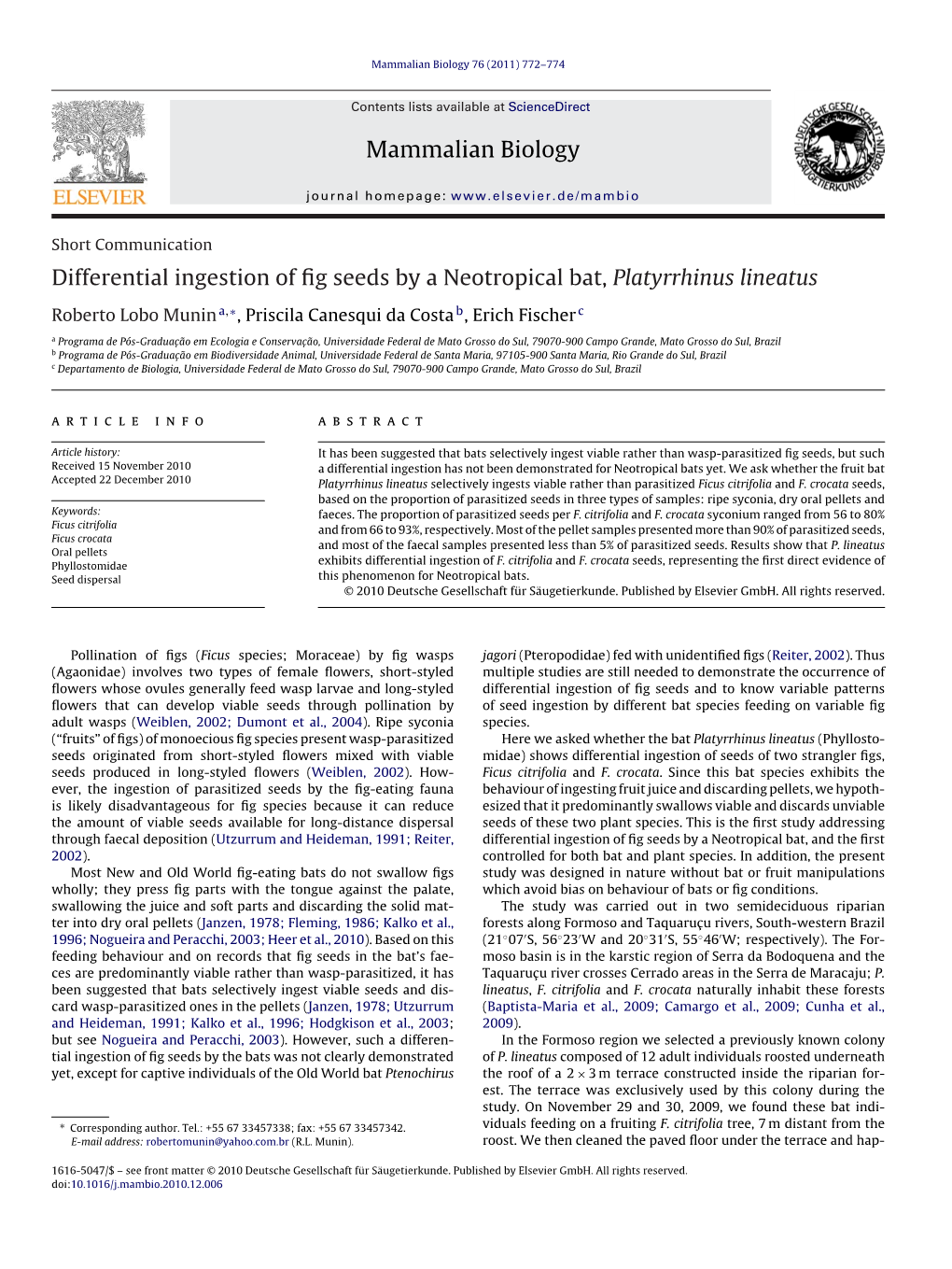 Differential Ingestion of Fig Seeds by a Neotropical Bat, Platyrrhinus Lineatus