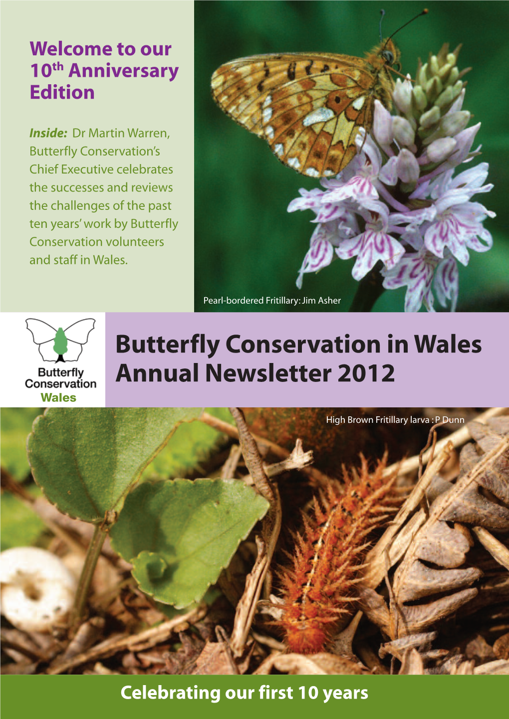 Butterfly Conservation in Wales Annual Newsletter 2012 Wales