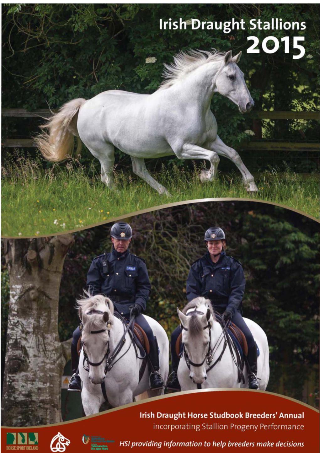 Irish Draught Horse Studbook Stallion Book