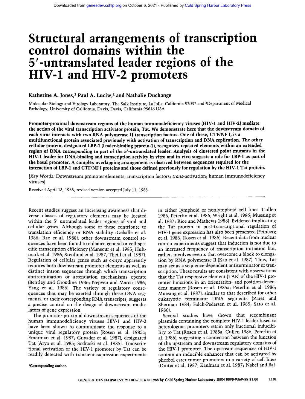 Untranslated Leader Regions of the HIV-1 and HIV-2 Promoters