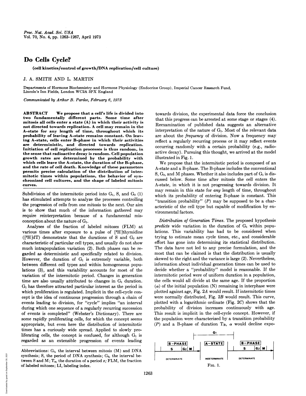 Do Cells Cycle? (Cell Kinetics/Control of Growth/DNA Replication/Cell Culture)