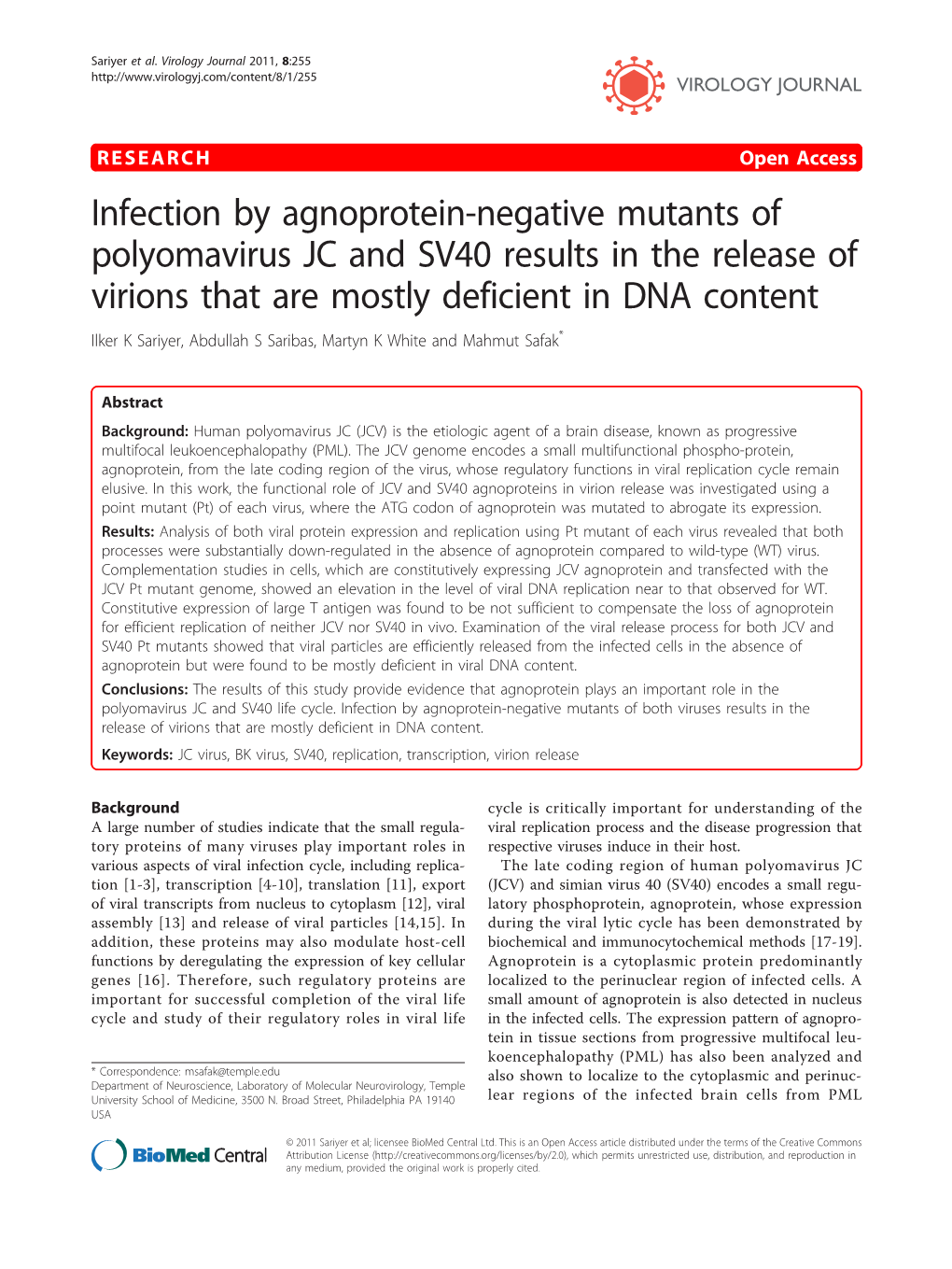 Infection by Agnoprotein-Negative Mutants of Polyomavirus JC and SV40 Results in the Release of Virions That Are Mostly Deficien