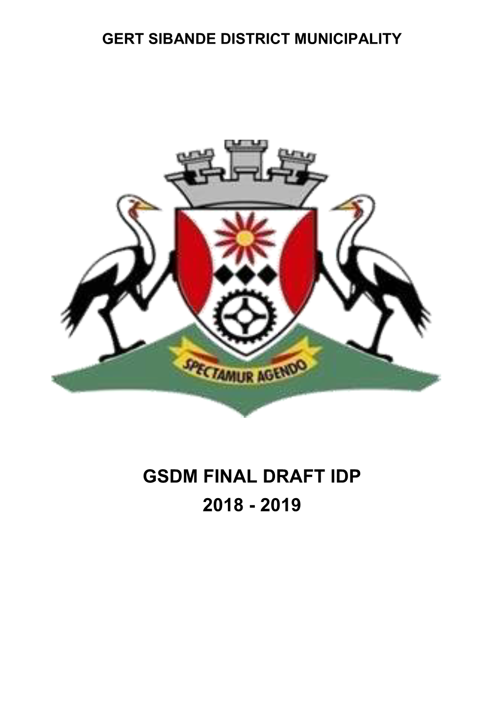 Gsdm Final Draft Idp 2018 - 2019