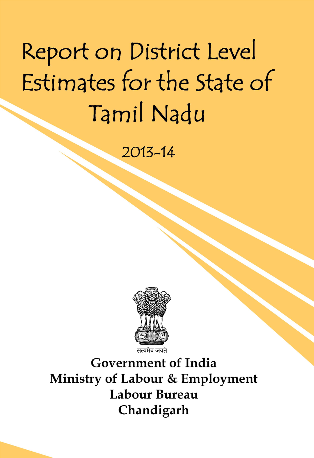 Report on District Level Estimates for the State of Tamil Nadu (2013-14)